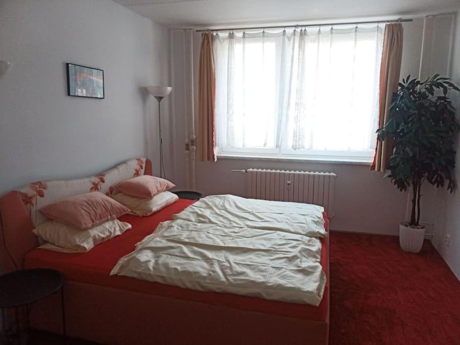 Apartment Soukrome